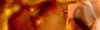 Benjamin Muon